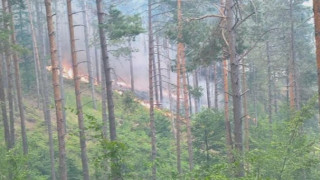 Двама задържани за пожара в Ардино