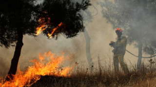 Пожар изпепели 7000 дка в Пловдивско