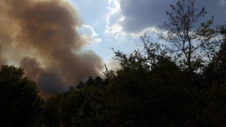 Затвориха пътя Харманли-Маджарово заради пожар
