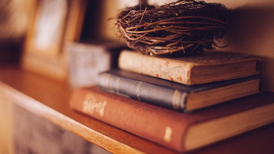 Четенето на романи удължава живота с 2 г. | StandartNews.com