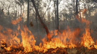 Пожарът край Тополовград вече е на три фронта