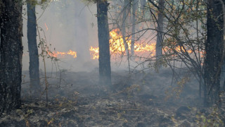 Опасност от пожари в 5 области на страната