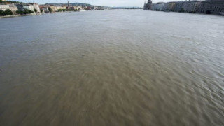 Откриха тялото на едно от децата мигранти в Дунав