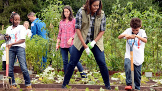 Мишел Обама вади моркови от градината на Белия дом