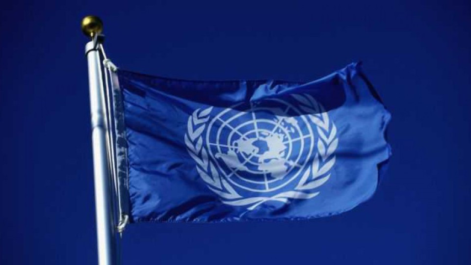 За ООН, гнилите коалиции и посланици | StandartNews.com