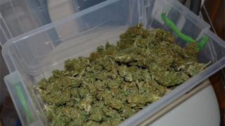 Задържаха 3 тона марихуана в Албания