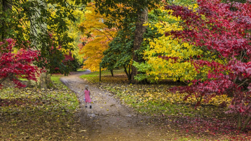 10 лека за есенната меланхолия | StandartNews.com