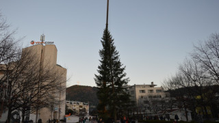 Коледна елха вече краси Благоевград
