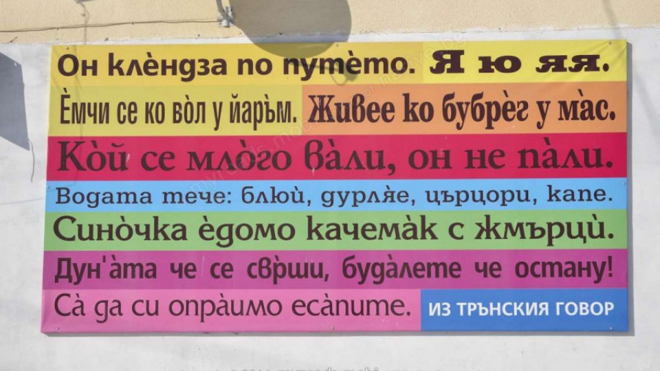Акушерка написа трънски речник | StandartNews.com