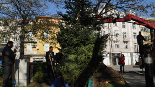 Грейва празничната елха в Пловдив