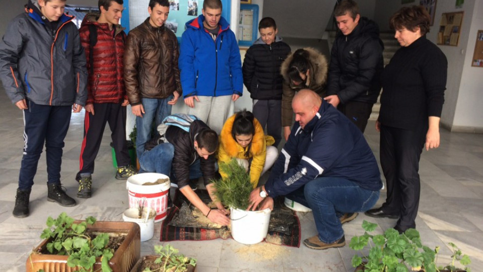 Ученици засаждат 100 дръвчета край гимназията си | StandartNews.com