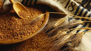 Искат минимални цени на зърното