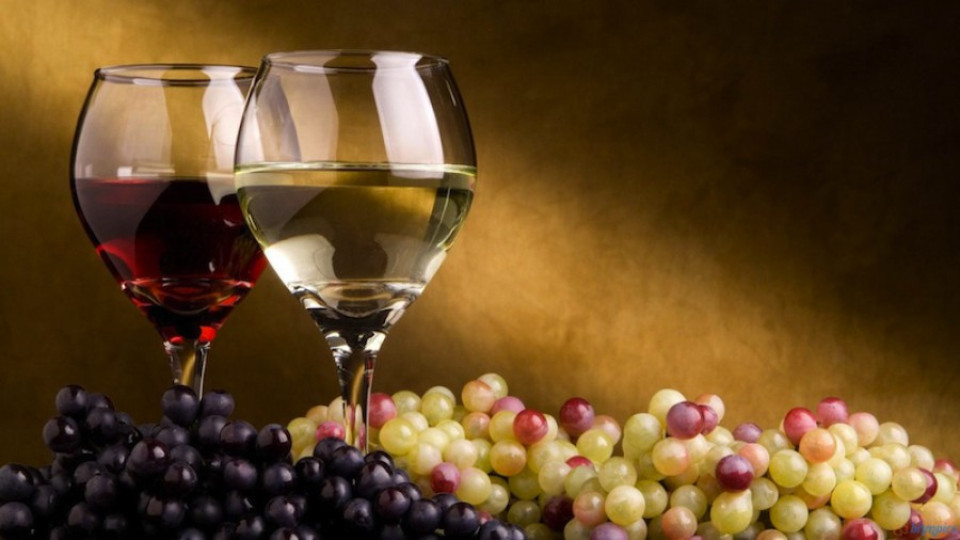 Пием повече вино | StandartNews.com