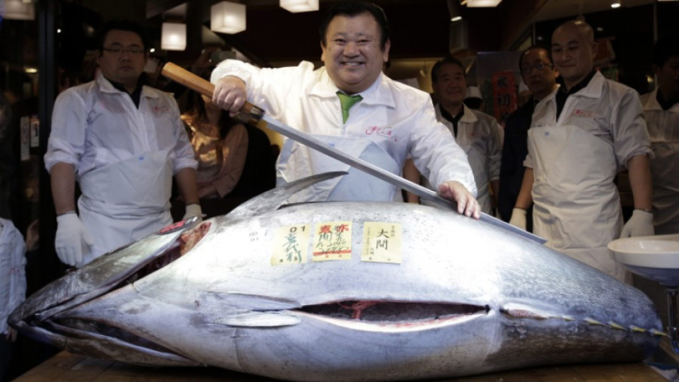 $631 000 за 212-килограмова риба тон | StandartNews.com