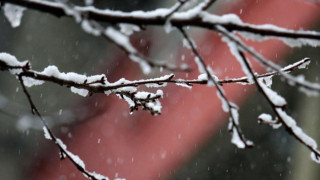 Подслон и топла храна за бедстващи в Благоевград