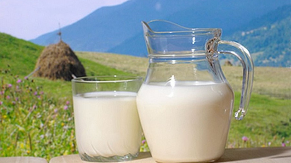 Дават субсидии за по-малко производство на мляко | StandartNews.com