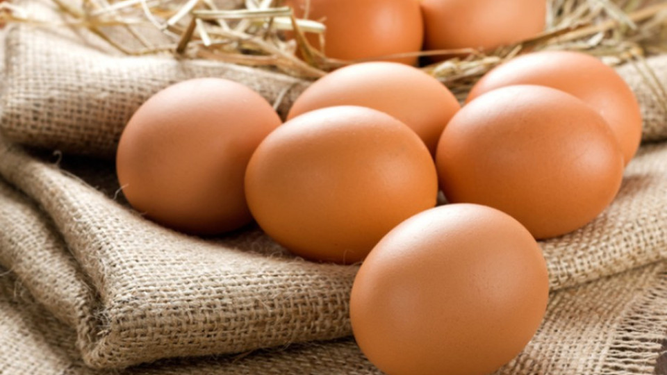 Замръзна цената на яйцата | StandartNews.com