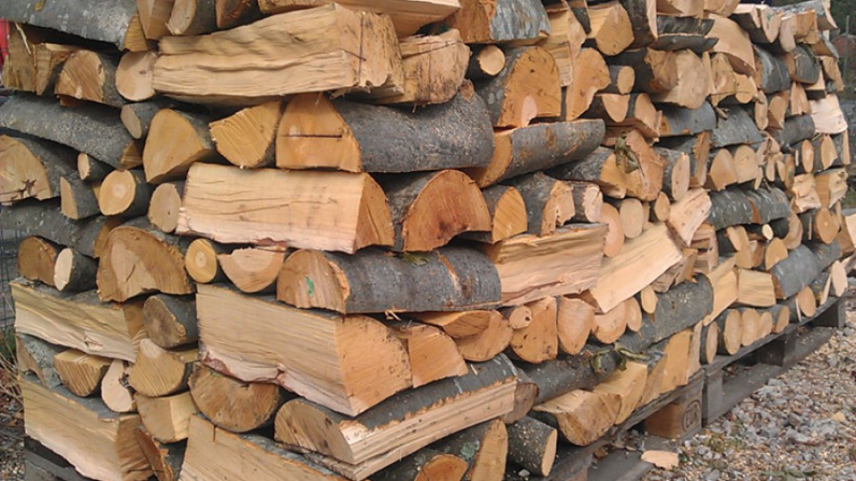 Във Видин свършиха дървата за огрев | StandartNews.com