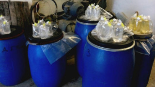 Спипаха 22 000 литра алкохол на Кулата