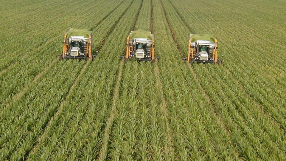 Две трети от фермерите в Кърджалийско вече са се пререгистрирали   | StandartNews.com