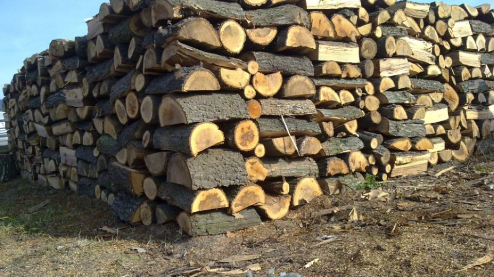 НАП проверява търговците на дърва за огрев | StandartNews.com