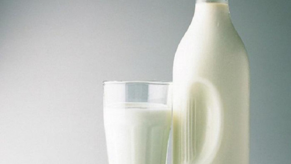 Изплатиха над половин милион лева за свиване производството на мляко | StandartNews.com