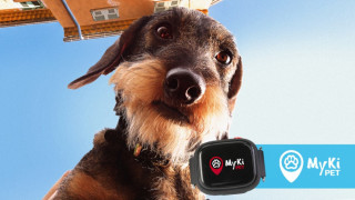 Теленор предлага тракер за проследяване на домашни любимци MyKi Pet
