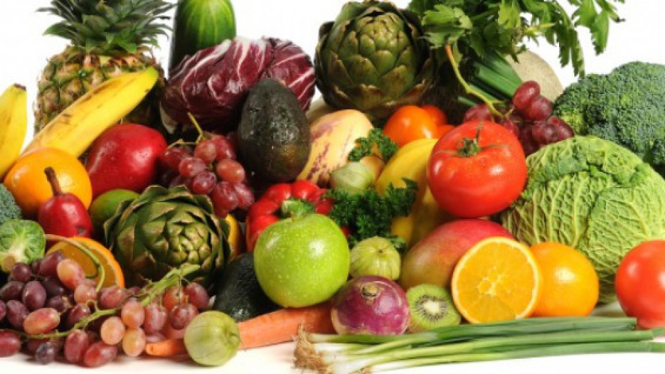 Строят завод за преработка на плодове и зеленчуци в с. Дагоново | StandartNews.com