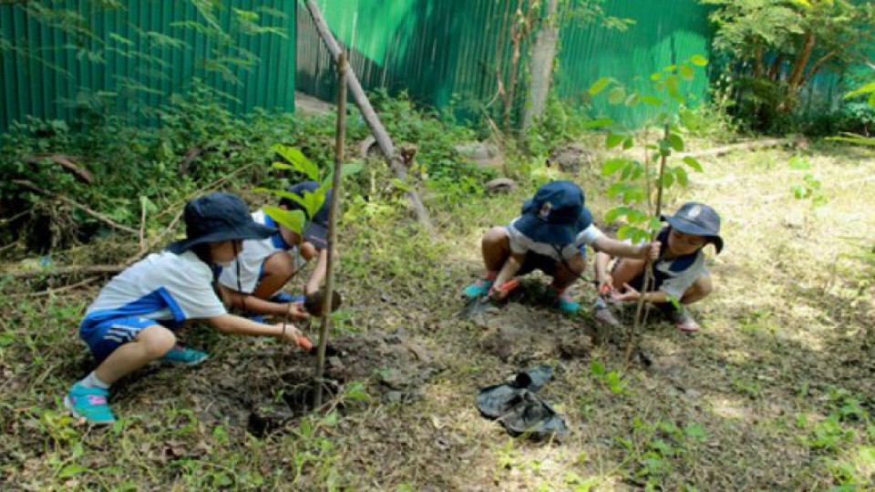 Деца садят фиданки в Седмицата на гората | StandartNews.com