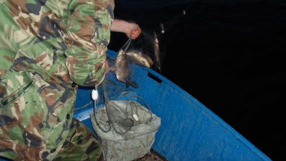 Забранява се уловът на риба в рибностопанските обекти | StandartNews.com