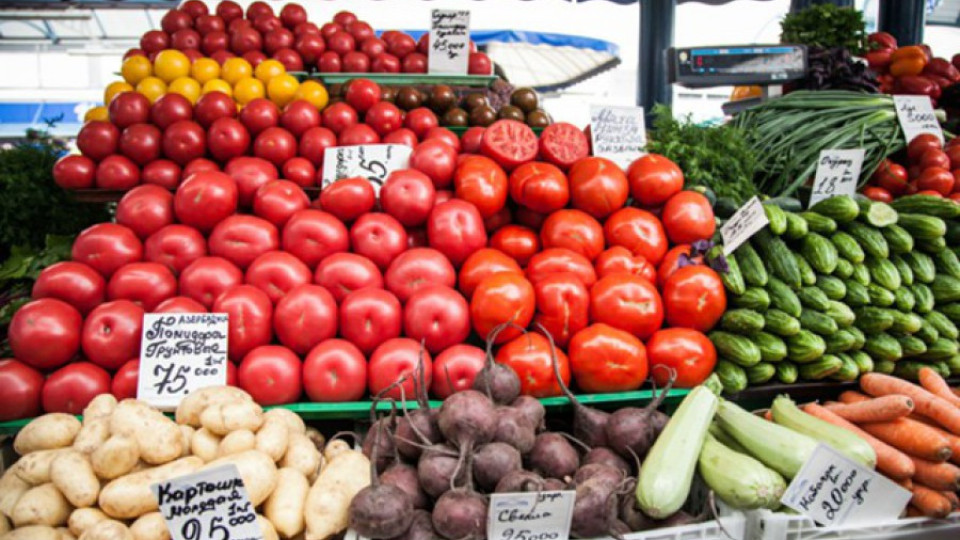 Турските домати остават табу в Русия | StandartNews.com