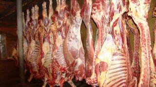 БАБХ конфискува над 1100 килограма храни при Великденските проверки