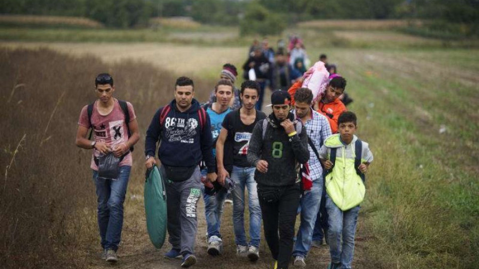 21 нелегални мигранти приклещени край границата | StandartNews.com
