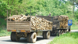 Горски предотвратиха опит за измама с дървесина