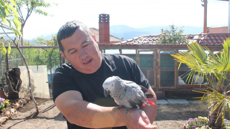 Властелинът на птиците живее в гърменско село | StandartNews.com