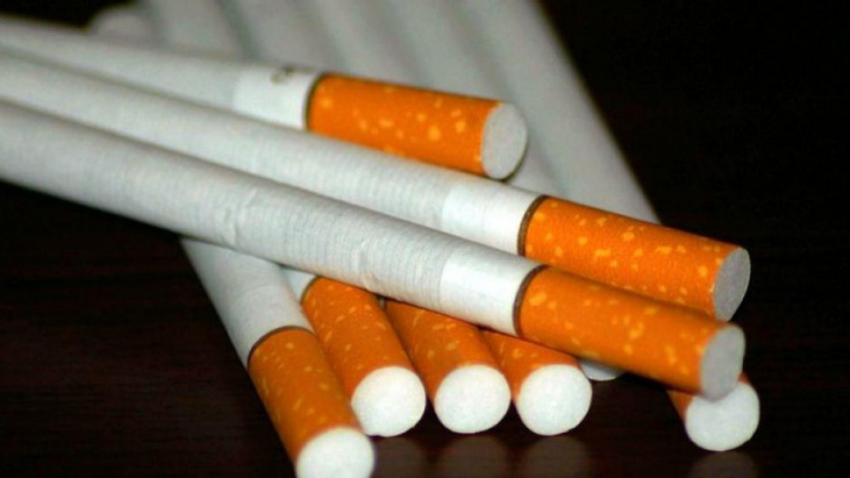 Иззеха 6500 кутии цигари без бандерол на "Маказа" | StandartNews.com