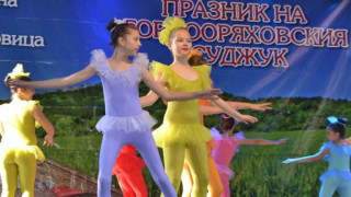Горна Оряховица ухае на скара