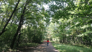 Алея на българските царе вдигат в София