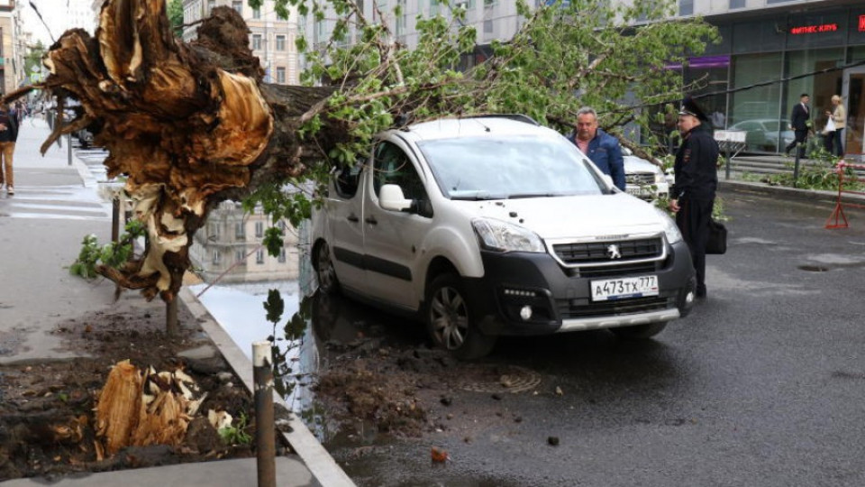 Ураган уби 11 души в Москва | StandartNews.com