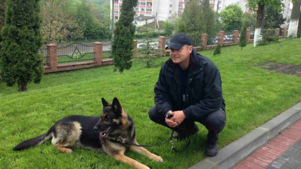 Митническото куче Рови с първа награда на международно състезание | StandartNews.com