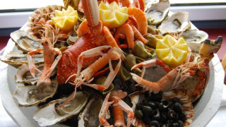 Морски дарове може да докарат холера