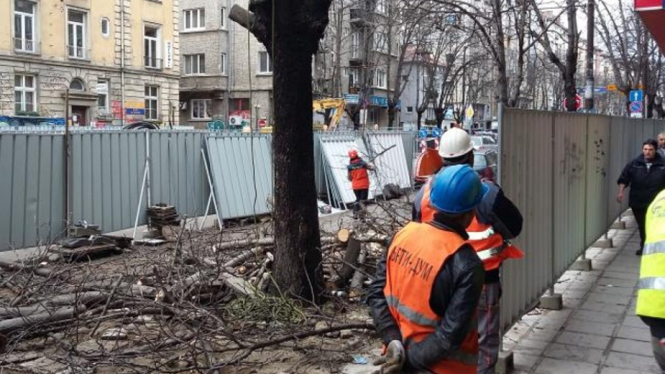 Пускат движението по "Патриарха" | StandartNews.com