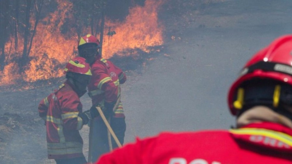Португалия обяви тридневен национален траур | StandartNews.com