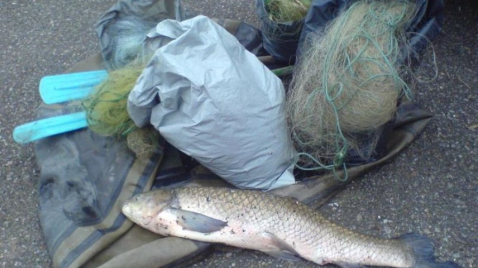 Иззеха 4000 метра бракониерски риболовни мрежи | StandartNews.com