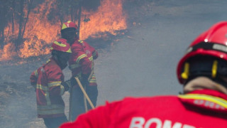 Взривена цистерна изпепели 123-има в Пакистан