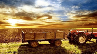 114 000 стопани заявиха директни субсидии