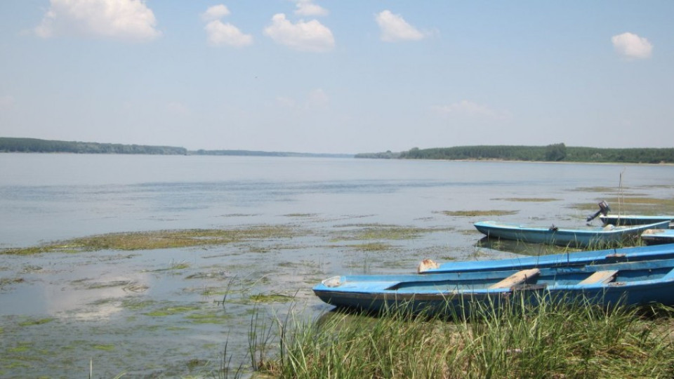 Напрежение по река Дунав! Невиждан проблем | StandartNews.com