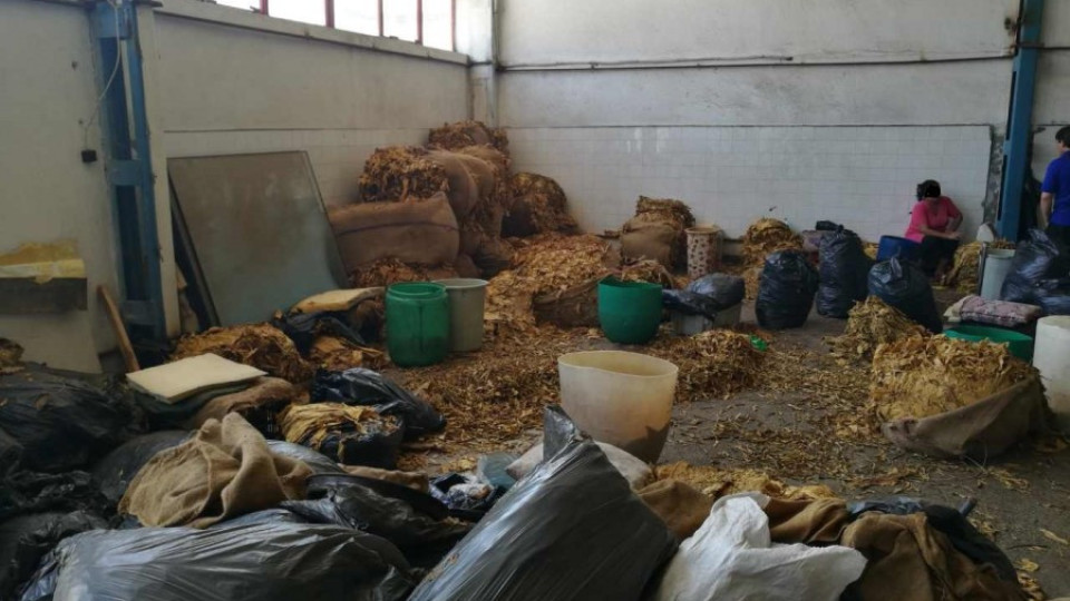 Митничари откриха нелегална фабрика за тютюн | StandartNews.com