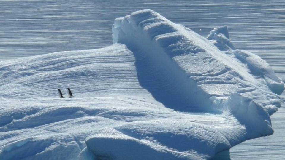 Луксозни екскурзии до Антарктида | StandartNews.com