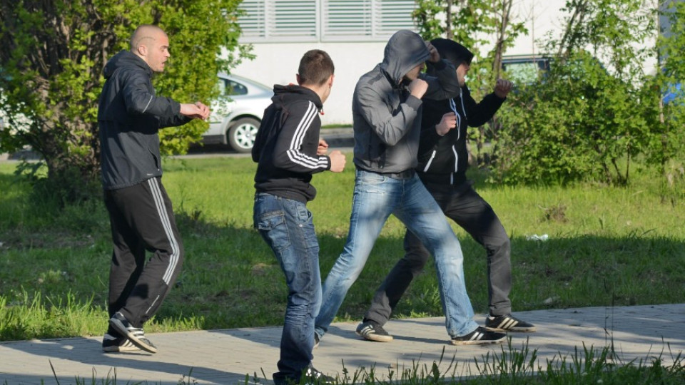 Пребиха с тръби и бухалки фенове на "Левски" | StandartNews.com